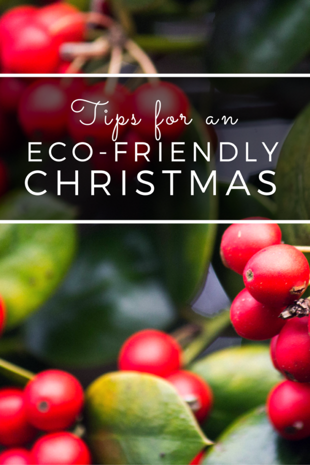 Tips for an Eco-Friendly Family Christmas