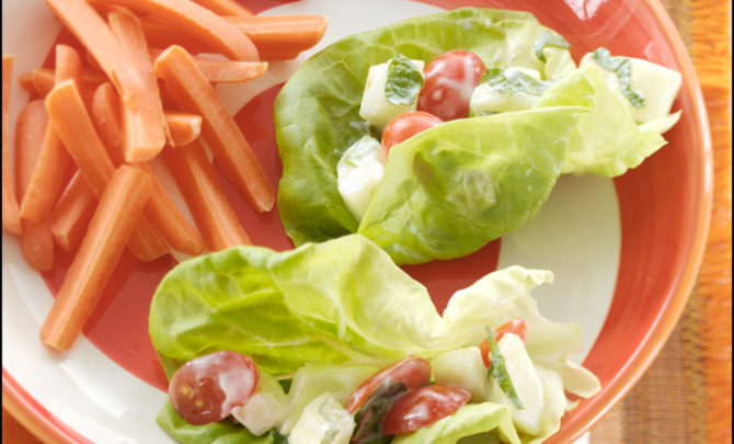 Raita-Tomato-Lettuce-Veggie-Healthy-Relish