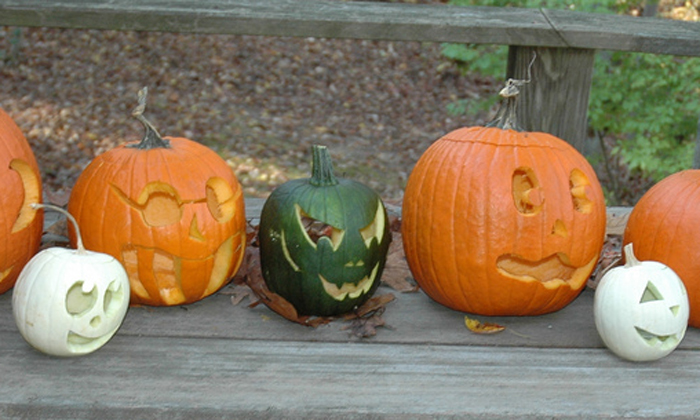 Top 5 Safety Tips from Pumpkin Carving Masters - Daily Parent