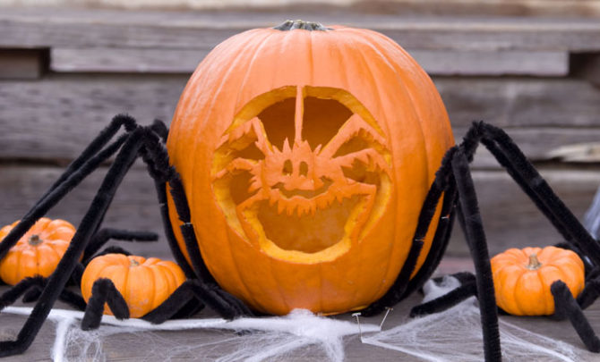 pumpkin-spider-templates-carving