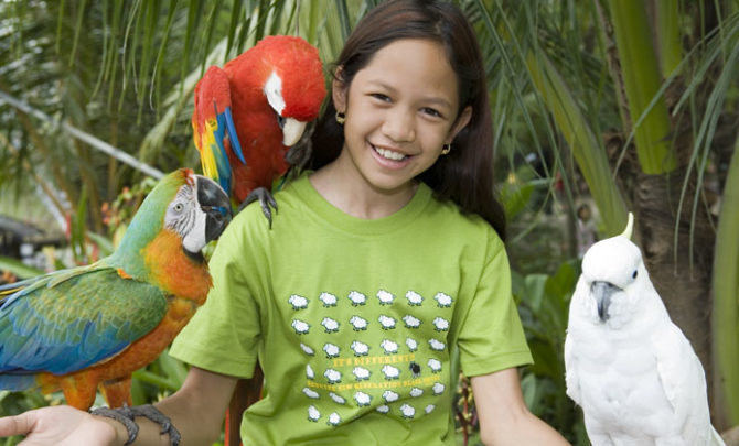 featured-girl-birds-zoo