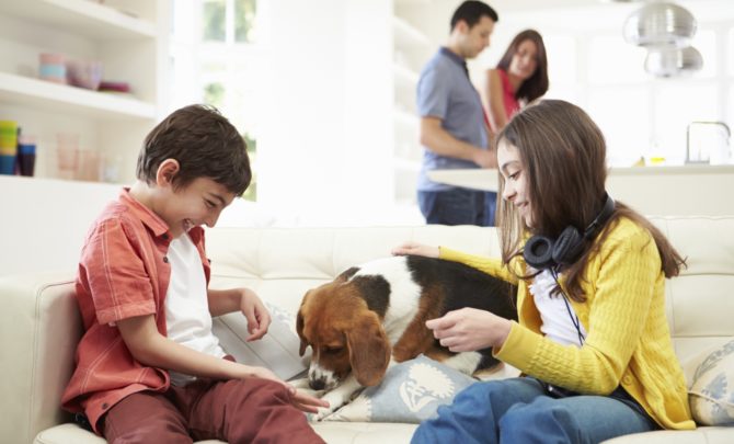 FEATURED-family-pet-coping-with-loss